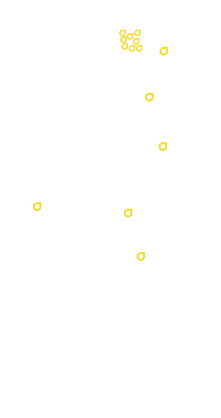 Carte Tunisie transparente